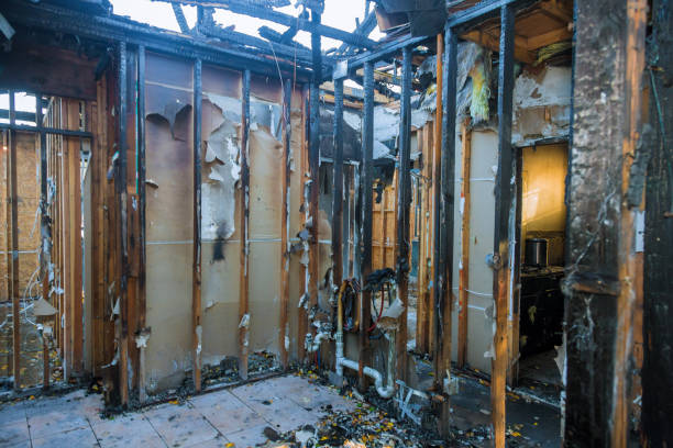 Professional Fire Damage Cleanup technician working in Saint Petersburg, FL