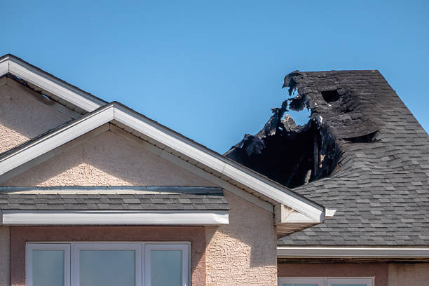Top rated local Fire Damage Cleanup specialists in Saint Petersburg, FL